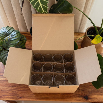 Govino Game Day Pack — open box with 12 shatterproof beer can glasses